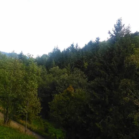 Zaciszny Zakatek *
