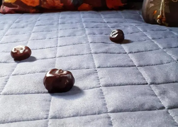 Zaciszny Zakatek Zawoja